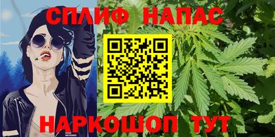 ГАЛЛЮЦИНОГЕННЫЕ ГРИБЫ Кинель