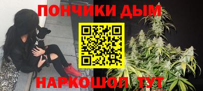 ГАЛЛЮЦИНОГЕННЫЕ ГРИБЫ Кинель