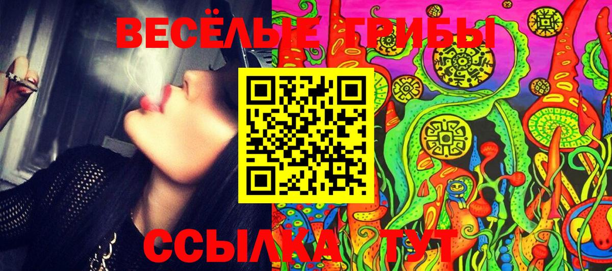 Галлюциногенные грибы Psilocybe  Псилоцибиновые грибы Psilocybe  Вход с VPN  Жуковский 