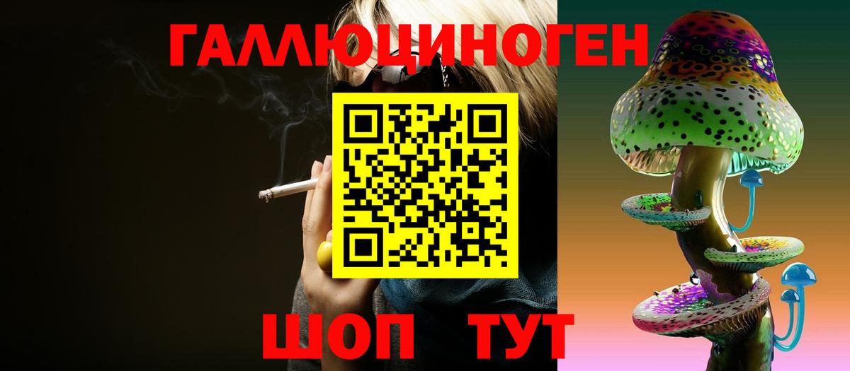 Галлюциногенные грибы Psilocybe Жуковский